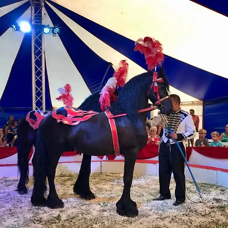 Luxuszelt Glamping Betuwe *